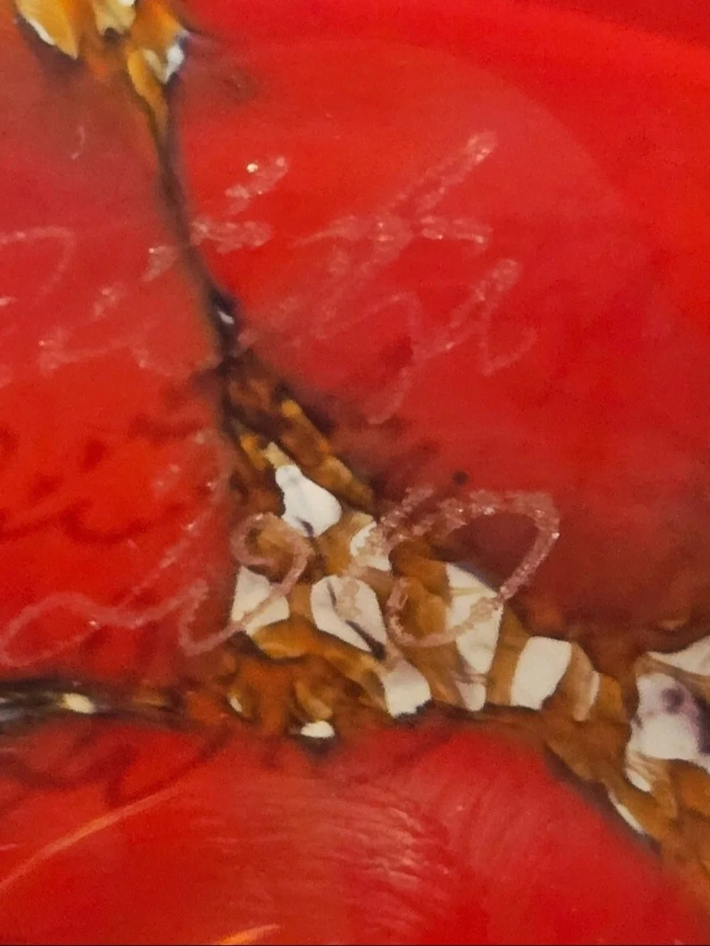 N/A vibrant art